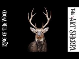 How to paint wildlife  with Acrylic on Canvas Stag Head Live stream