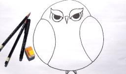 Beginner Learn to Draw Grumpy Owl for Acrylic Painting