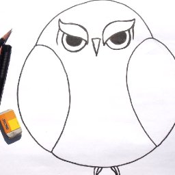 Beginner Learn to Draw Grumpy Owl for Acrylic Painting