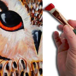 Simple Owl EYE Beginner Acrylic Painting Lesson  The Art Sherpa