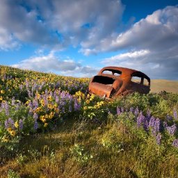 How to paint with Acrylic on Canvas old rusty car in flowers