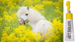 How to paint with Acrylic on Canvas Yellow flowers with white  Pony