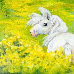 How to paint with Acrylic on Canvas Yellow flowers with white  Pony