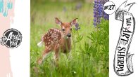 Baby deer in wild flowers loose step by step Acrylic April day #27