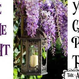 Wisteria  and glowing Lamp Easy Acrylic painting tutorial step by step Live Streaming