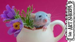 Rat in a Flower cup Easy Acrylic painting tutorial step by step Live Streaming