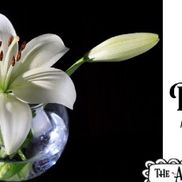 White lily in a glass vase Acrylic painting tutorial step by step Live Streaming