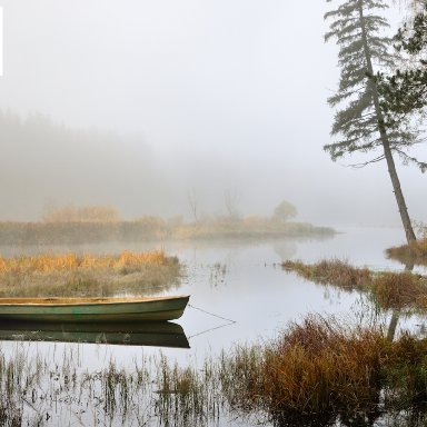 Misty Lake Boat Color Reference