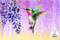 Hummingbird and Lilacs Reference