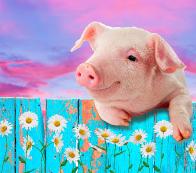 Adorable Pig with Flowers Reference