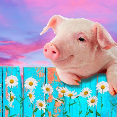 Adorable Pig with Flowers Reference