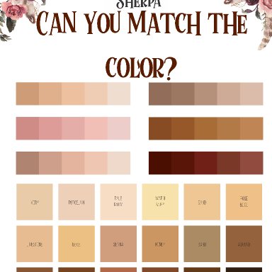 Match the color worksheet 