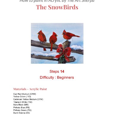 SnowBirds Step by step 