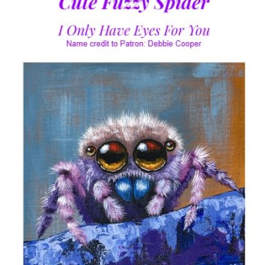 Cute Fuzzy Spider