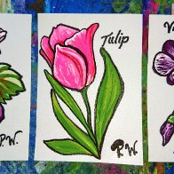 Pansies, Tulip, and Violets