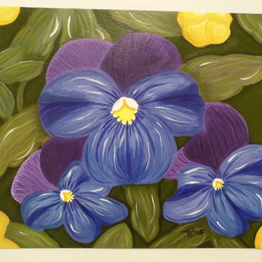 Trish - Pretty Purple Pansies