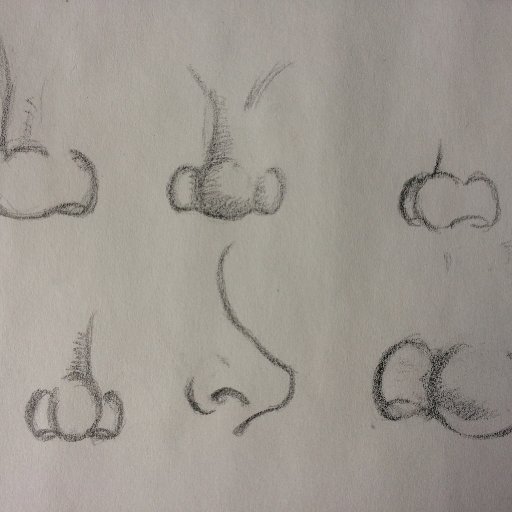 Noses . . .Ugh