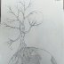IMAG0796_1