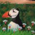 Pensive Puffin