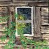 Old Shed Window