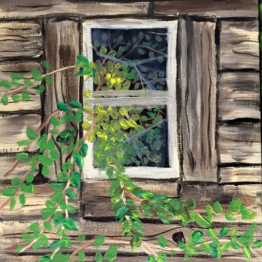 Old Shed Window
