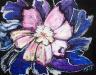 TAS170618.01 - Purple Peony 72dpi.jpg TAS170618.01 - Purple Peony 72dpi.jpg