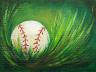 TAS170620.01 - Ball in Grass 72dpi.jpg TAS170620.01 - Ball in Grass 72dpi.jpg