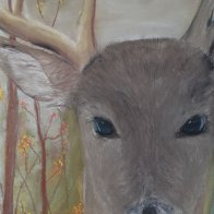 Deer, Dear (Pastel)