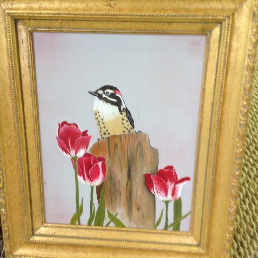 tulips & woodpecker