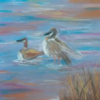 Duck Pond (Pastel)