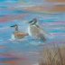 Duck Pond (Pastel)