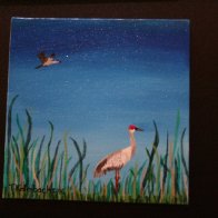 Sand Hill Crane