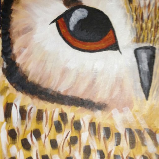 owl