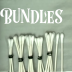 Q-tip bundles 
