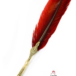 pen .jpg