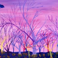 Imaginary Forest