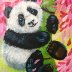 spring panda 