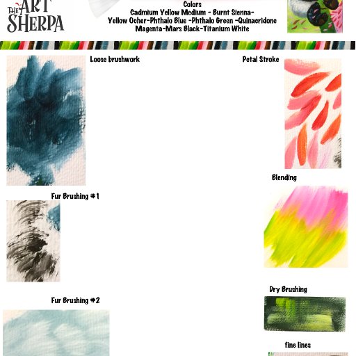 Practice the Acrylic paint strokes Art guide for beginners Spring Panda 