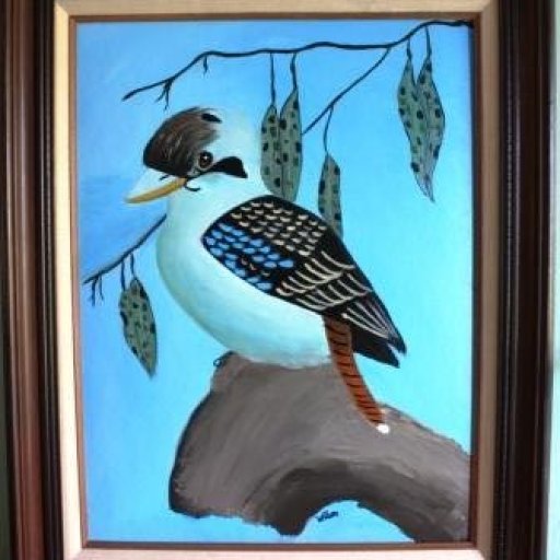 kookaburra