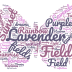 Lavender-WordCloud