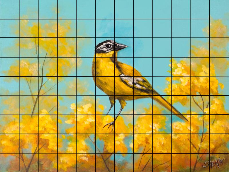 sunshine bird grid .jpg