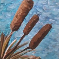 Cattails on Pond