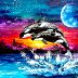 whale 1 copy
