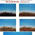 step by step How to paint Dry grass  copy