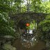 Garvan Gardens - Full Moon Bridge