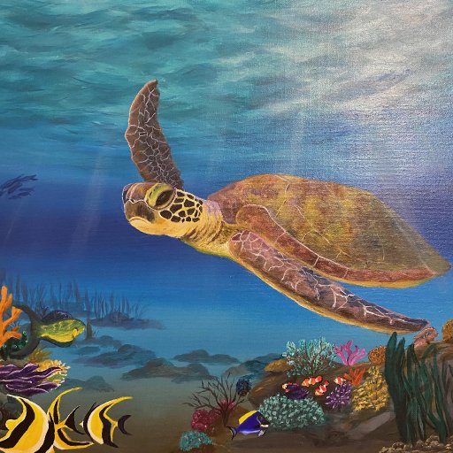 Sea Turtle