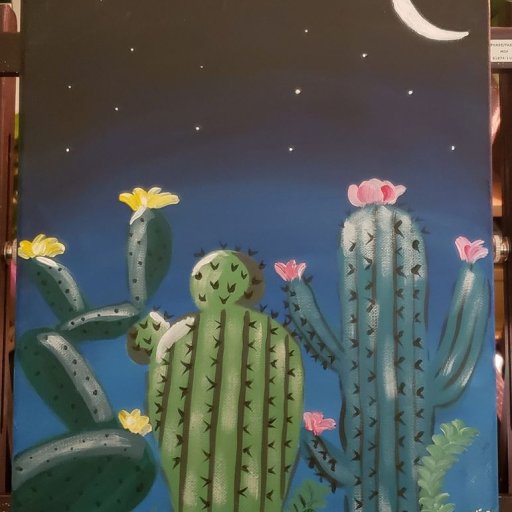 Evening cactus surprise