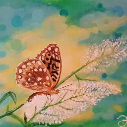 butterfly.jpg