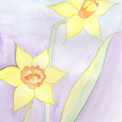 2016-03-24 Daffodil - Frugal (Medium)