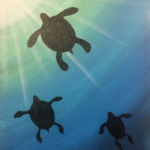 2016-10-24 Meditation Turtle - Sherpa  (Medium)